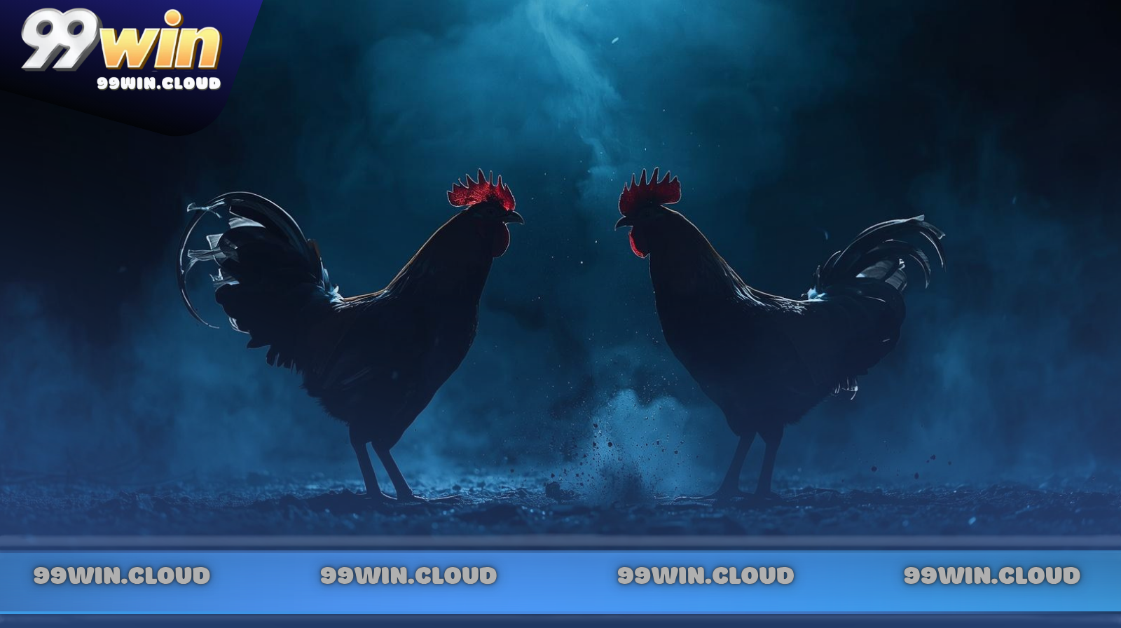 Tổng quan về sảnh đá gà 99WIN